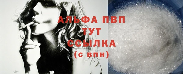 амф Верхний Тагил