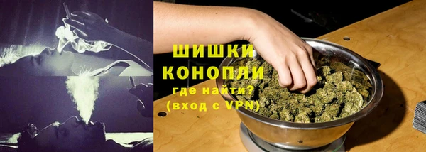 амф Верхний Тагил