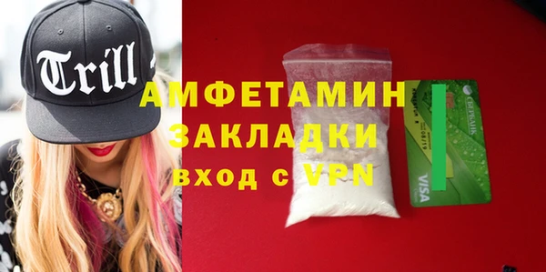 амф Верхний Тагил