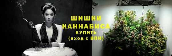 амф Верхний Тагил