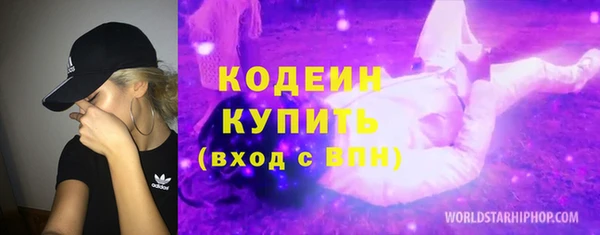 амф Верхний Тагил