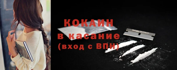 амф Верхний Тагил