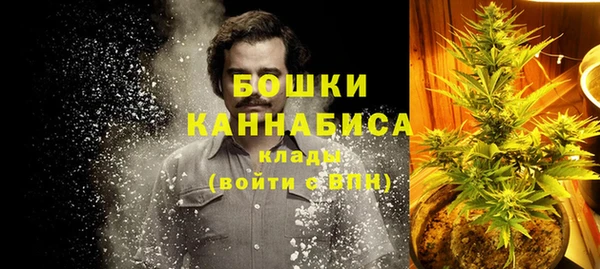 PSILOCYBIN Верея