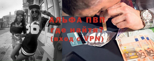 амф Верхний Тагил