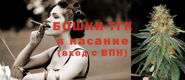 PSILOCYBIN Верея