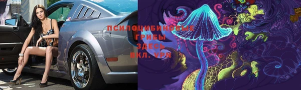 PSILOCYBIN Верея