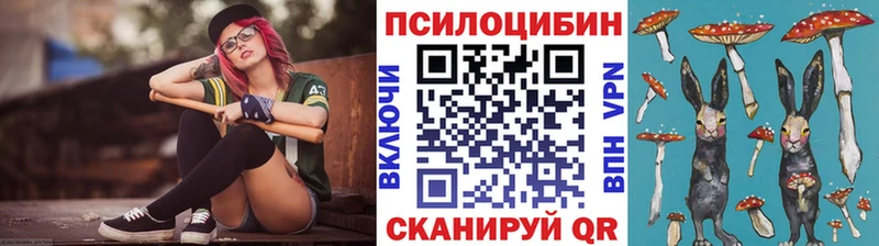 магазин    Петухово  мориарти наркотические препараты  Псилоцибиновые грибы Psilocybe 